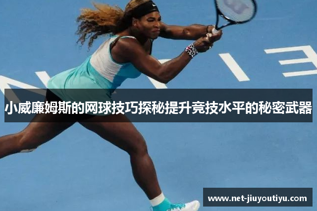 小威廉姆斯的网球技巧探秘提升竞技水平的秘密武器 小威廉姆斯的网球技巧探秘提升竞技水平的秘密武器