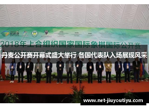 丹麦公开赛开幕式盛大举行 各国代表队入场展现风采 丹麦公开赛开幕式盛大举行 各国代表队入场展现风采