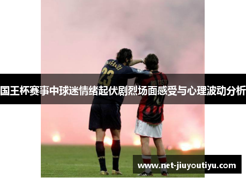 国王杯赛事中球迷情绪起伏剧烈场面感受与心理波动分析 国王杯赛事中球迷情绪起伏剧烈场面感受与心理波动分析