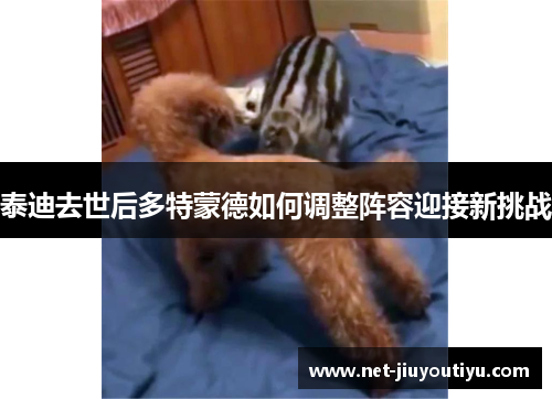 泰迪去世后多特蒙德如何调整阵容迎接新挑战