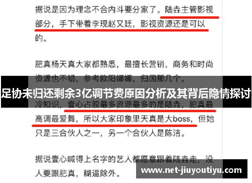 足协未归还剩余3亿调节费原因分析及其背后隐情探讨