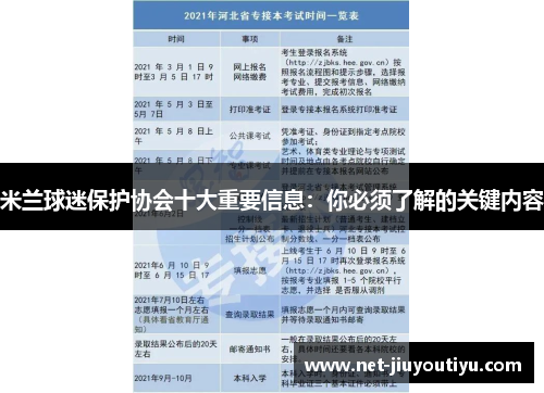 米兰球迷保护协会十大重要信息:你必须了解的关键内容 米兰球迷保护协会十大重要信息:你必须了解的关键内容
