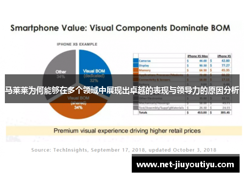 马莱莱为何能够在多个领域中展现出卓越的表现与领导力的原因分析