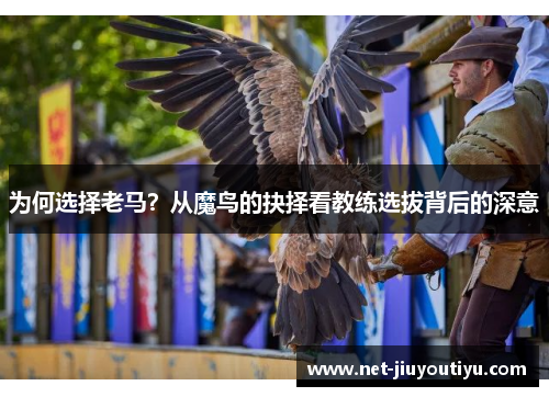 为何选择老马?从魔鸟的抉择看教练选拔背后的深意 为何选择老马?从魔鸟的抉择看教练选拔背后的深意